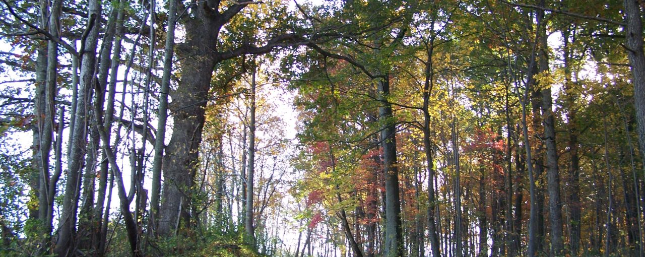 Empower-Sustainable-Success-1280×510