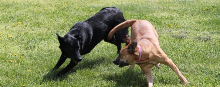 Fight-for-What-You-Want-1280×510