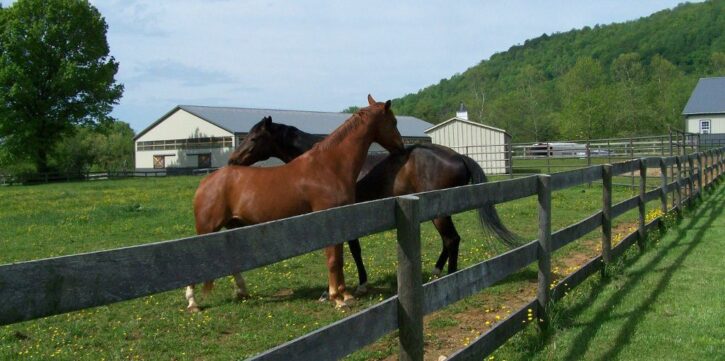 Is-a-Lack-of-Trust-Driving-Away-Your-Success_5-Tips-to-Boost-Trust-in-an-Organization-1024×510