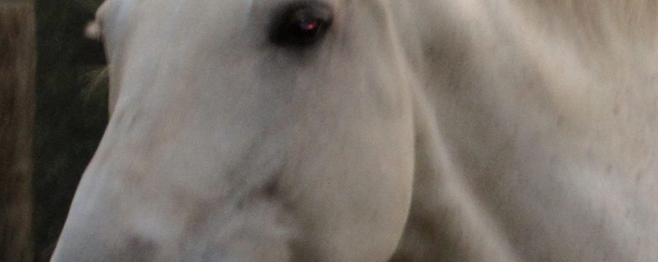 Strip-Down-for-Success-1280×510