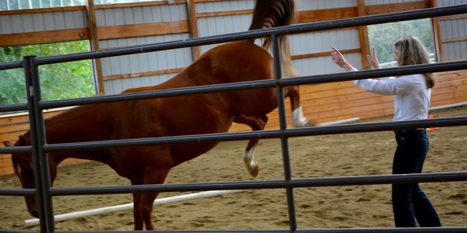 The-Leap-of-Faith-960×510