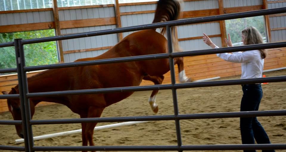 The-Leap-of-Faith-960×510