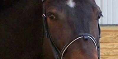 They-Say-Frescoe-Has-Leadership-Presence-Why-401×510