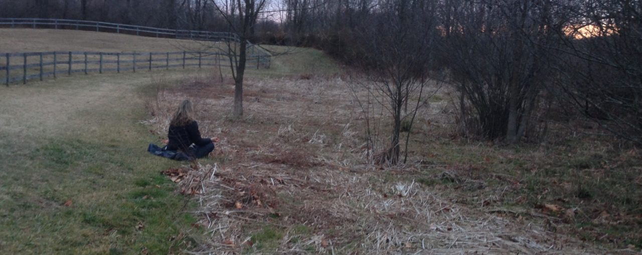 Wisdom-from-the-Winter-Wetland-1280×510