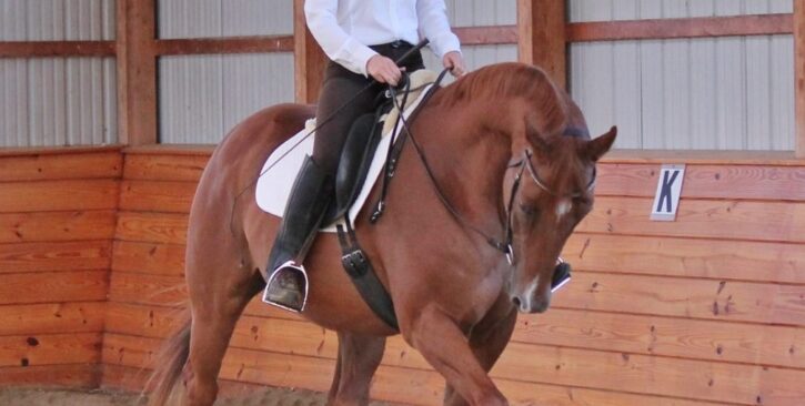 trot-focus-face_2-1010×1024-1010×510