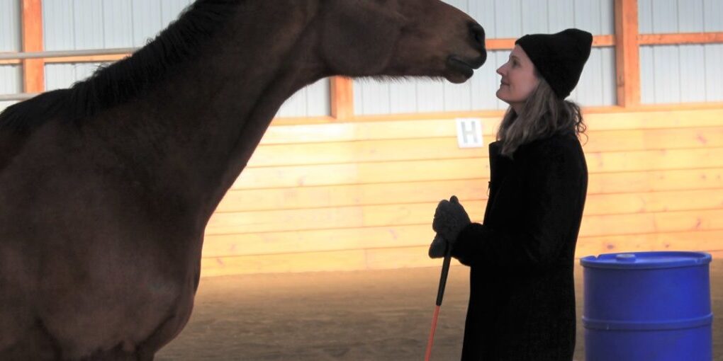 lemon-squeezy-moment-1234×510