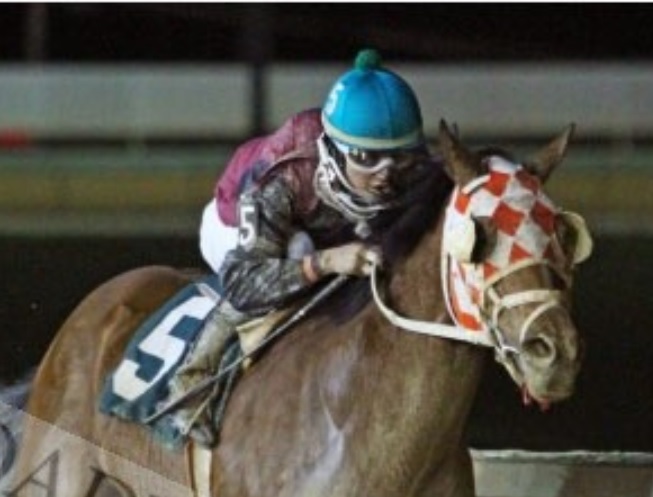 Race-shot-March-2016