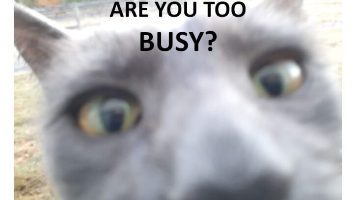 are-you-too-busy-Ranger-face-905×510