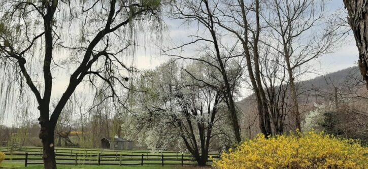 spring-march-2020-1110×510 (1)