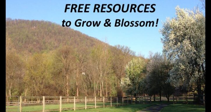 Free-Resources-photo-slide-960×510