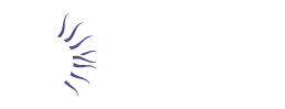 Jaeger 2