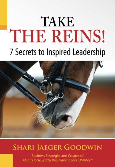 TAKE_THE_REINS__7_S_Cover_for_Kindle-min