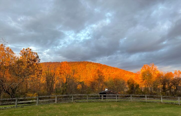 golden mountain Nov 2022_crop